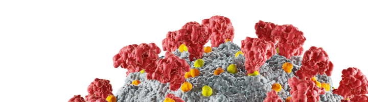 SARS-CoV-2 real-time PCR assay