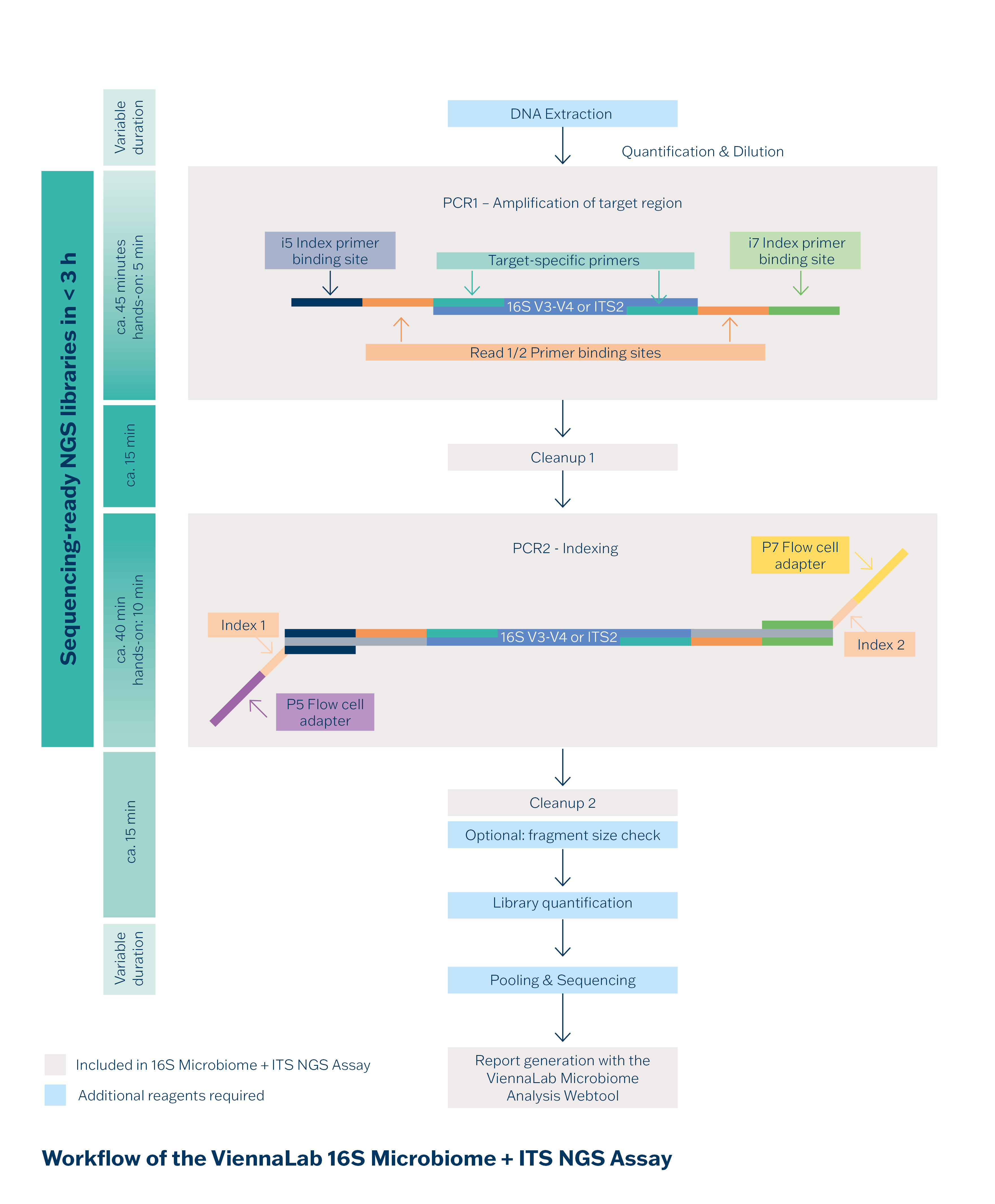 Workflow 16S Microbiome + ITS NGS Assay